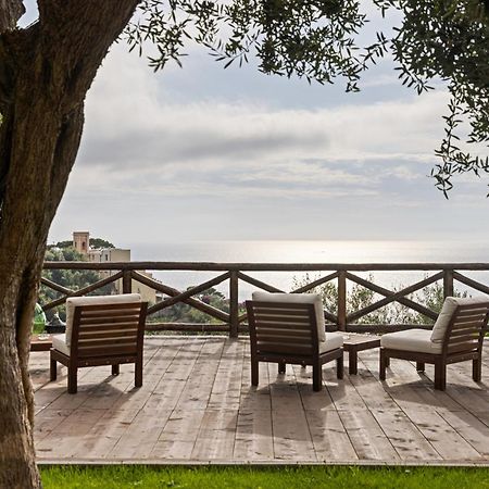 Casa Clementina Marciano Bed and Breakfast Massa Lubrense Εξωτερικό φωτογραφία