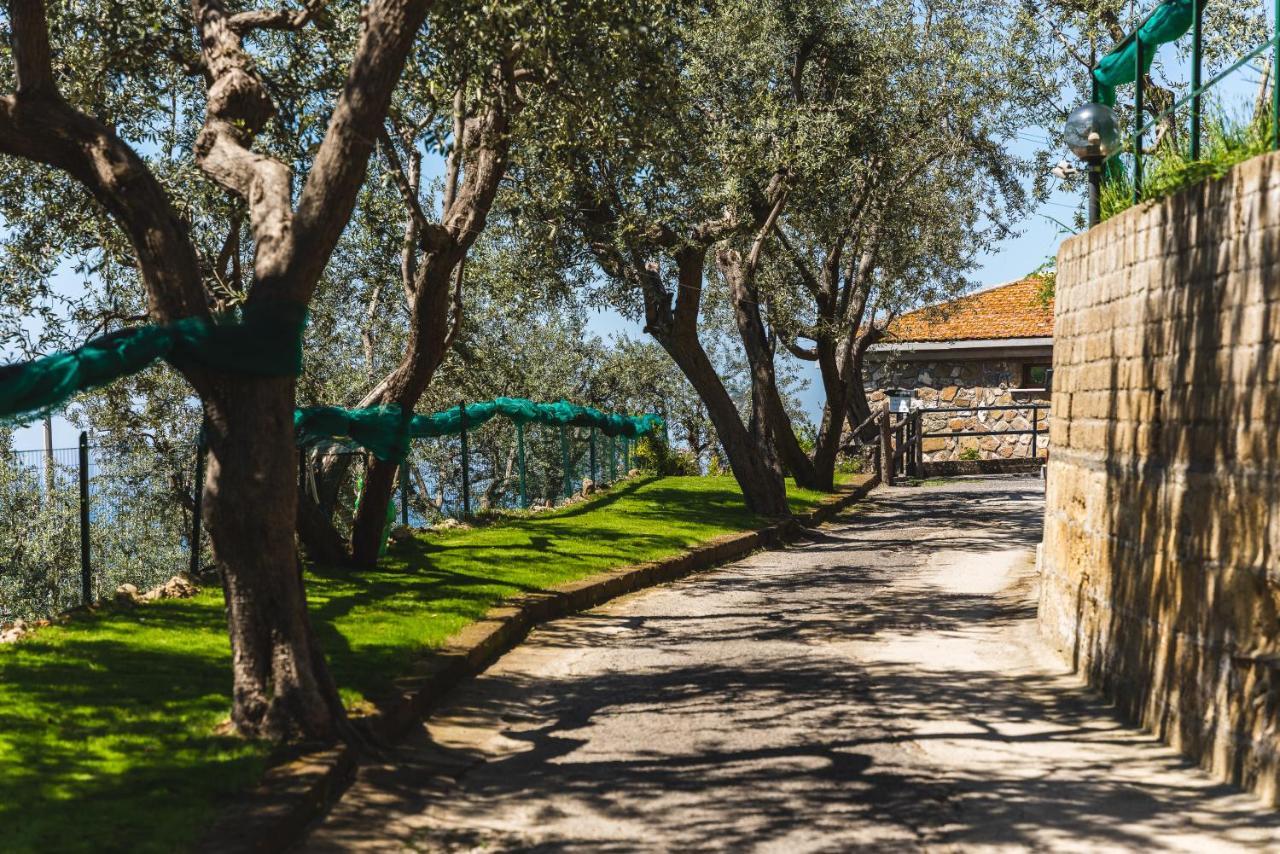 Casa Clementina Marciano Bed and Breakfast Massa Lubrense Εξωτερικό φωτογραφία