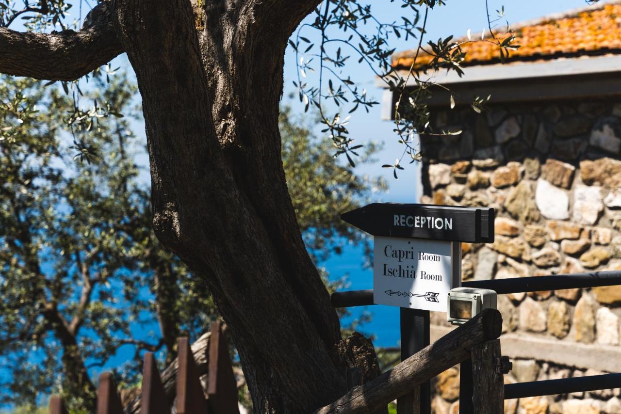 Casa Clementina Marciano Bed and Breakfast Massa Lubrense Εξωτερικό φωτογραφία