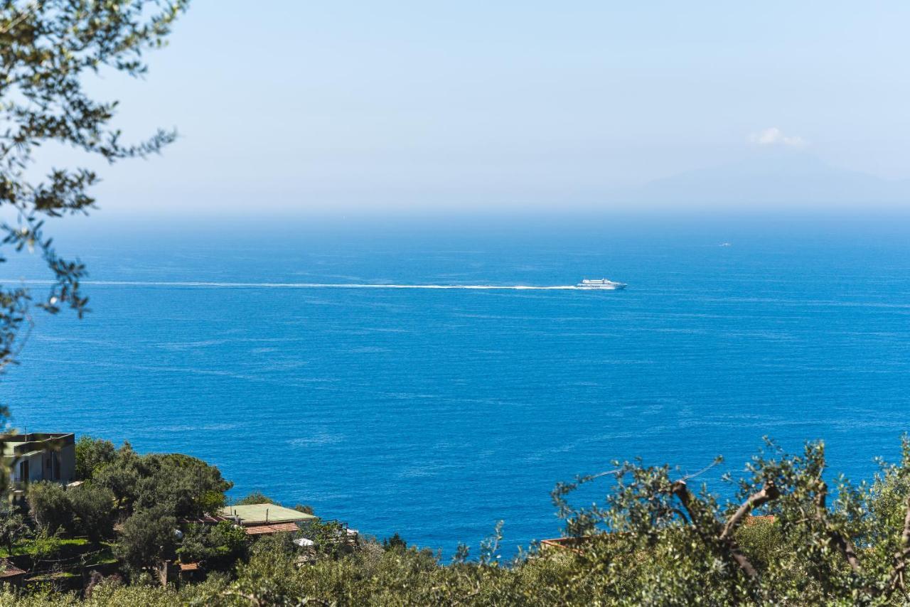 Casa Clementina Marciano Bed and Breakfast Massa Lubrense Εξωτερικό φωτογραφία
