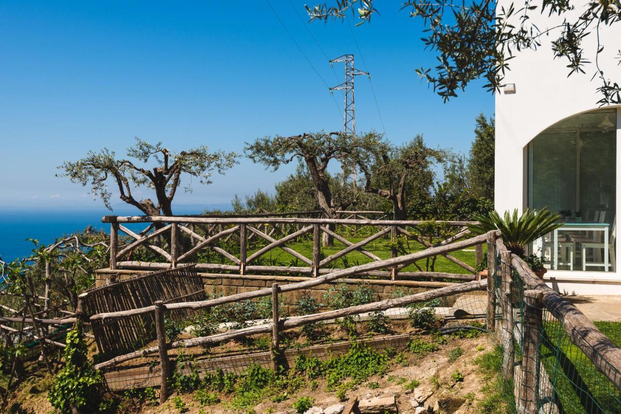Casa Clementina Marciano Bed and Breakfast Massa Lubrense Εξωτερικό φωτογραφία