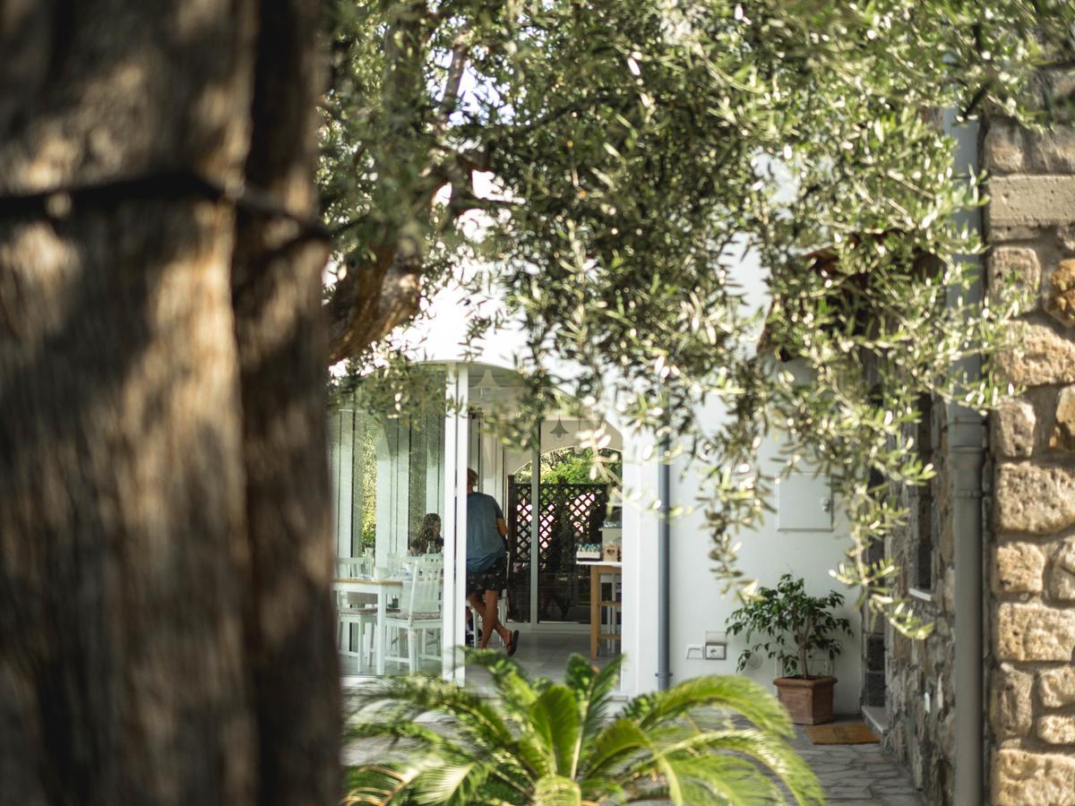 Casa Clementina Marciano Bed and Breakfast Massa Lubrense Εξωτερικό φωτογραφία