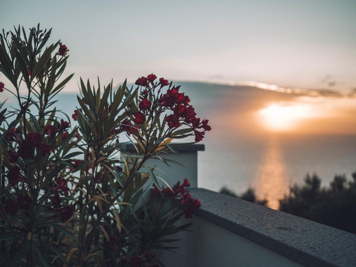 Casa Clementina Marciano Bed and Breakfast Massa Lubrense Εξωτερικό φωτογραφία