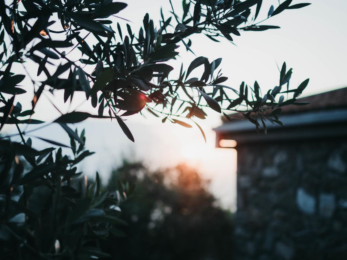 Casa Clementina Marciano Bed and Breakfast Massa Lubrense Εξωτερικό φωτογραφία
