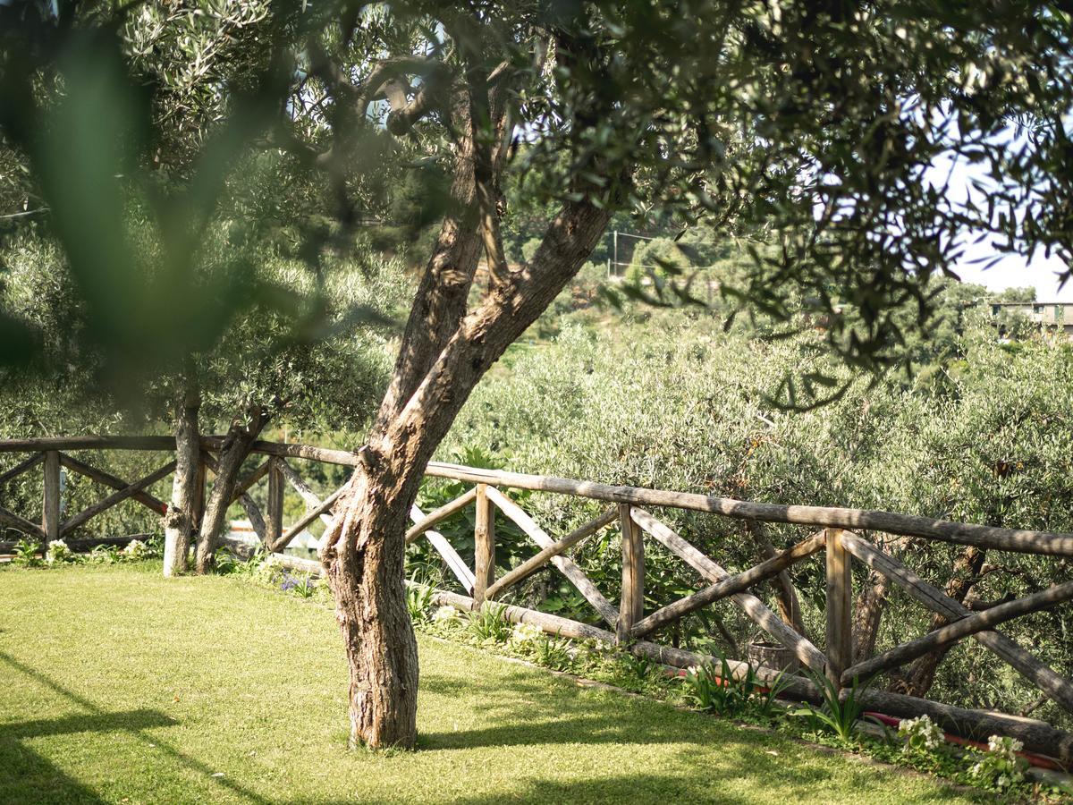 Casa Clementina Marciano Bed and Breakfast Massa Lubrense Εξωτερικό φωτογραφία